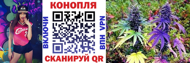 Купить закладки Будённовск МАРИХУАНА план